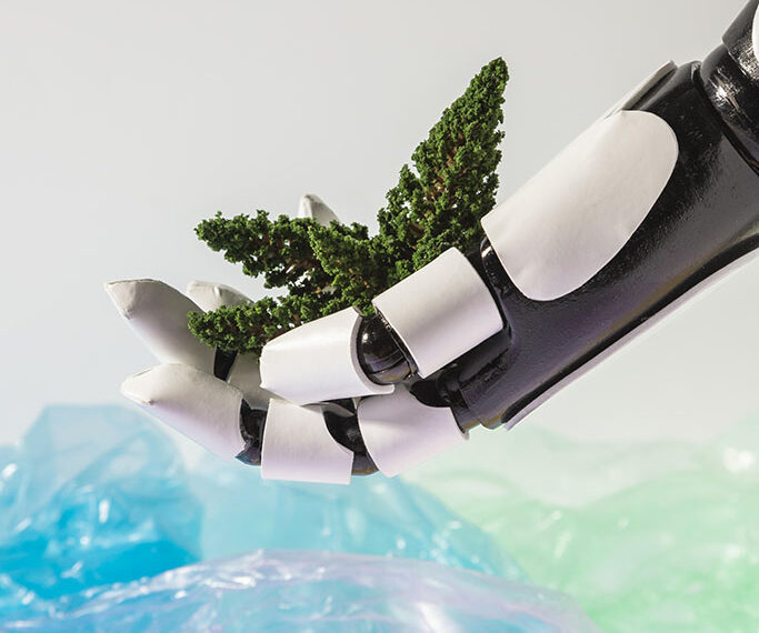 Eliminación responsable